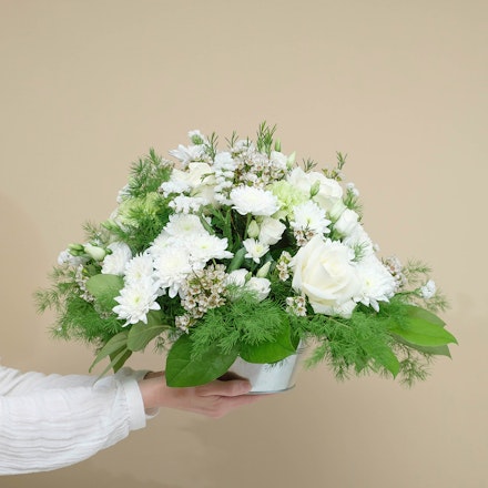 Composizione Serenità Bianca