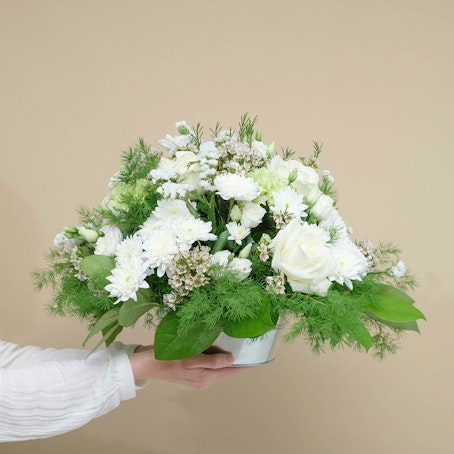 Composizione Serenità Bianca