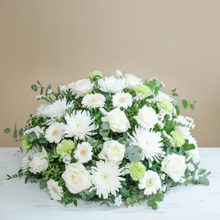 Omaggio Bianco