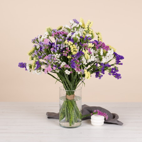 Bouquet di Semprevive