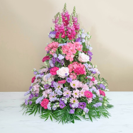 Ascesa rosa