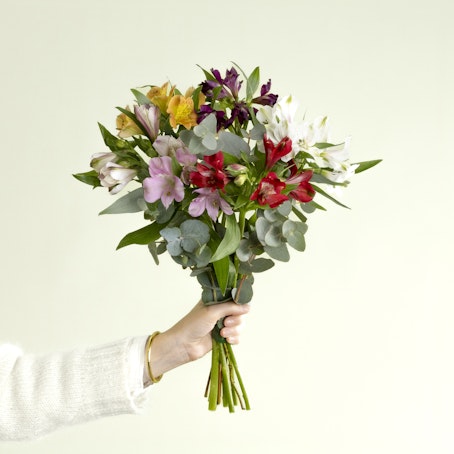 Bouquet di Alstroemeria