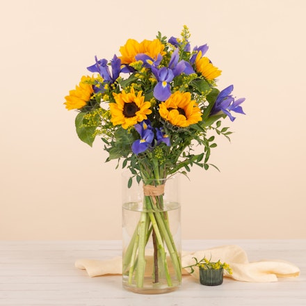 Girasoli e Iris