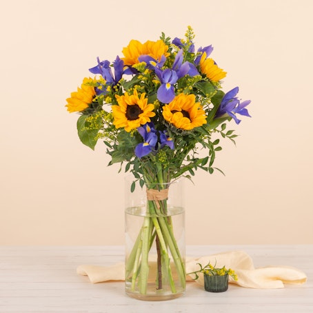 Girasoli e Iris