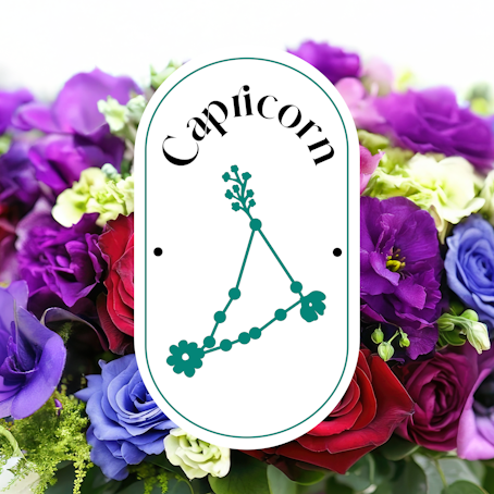 Capricorno