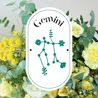 Gemelli