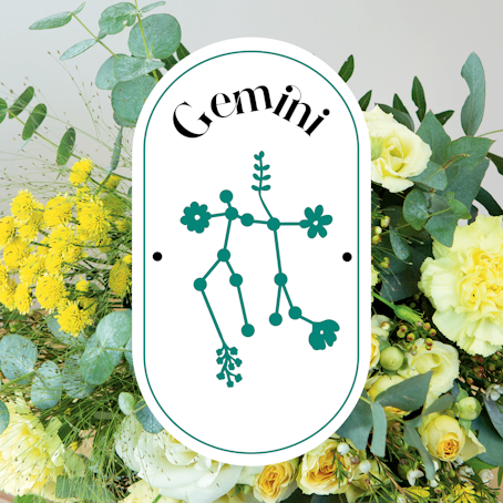 Gemelli