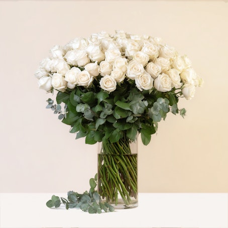 Bianco Sublime