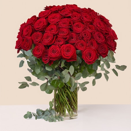 Amore senza limiti