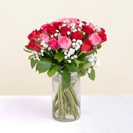 Roselline Rosse e Rosa