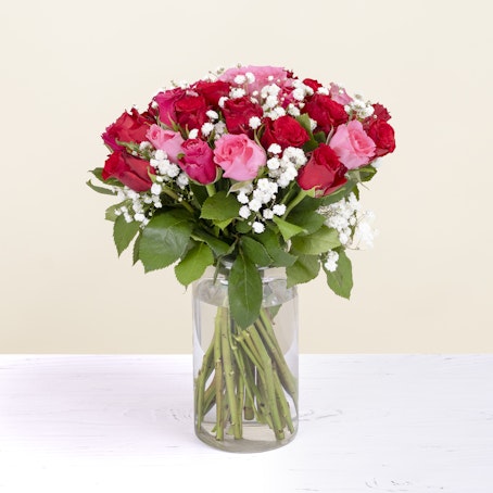 Roselline Rosse e Rosa