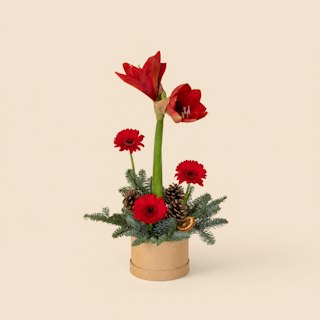 Doni d'inverno